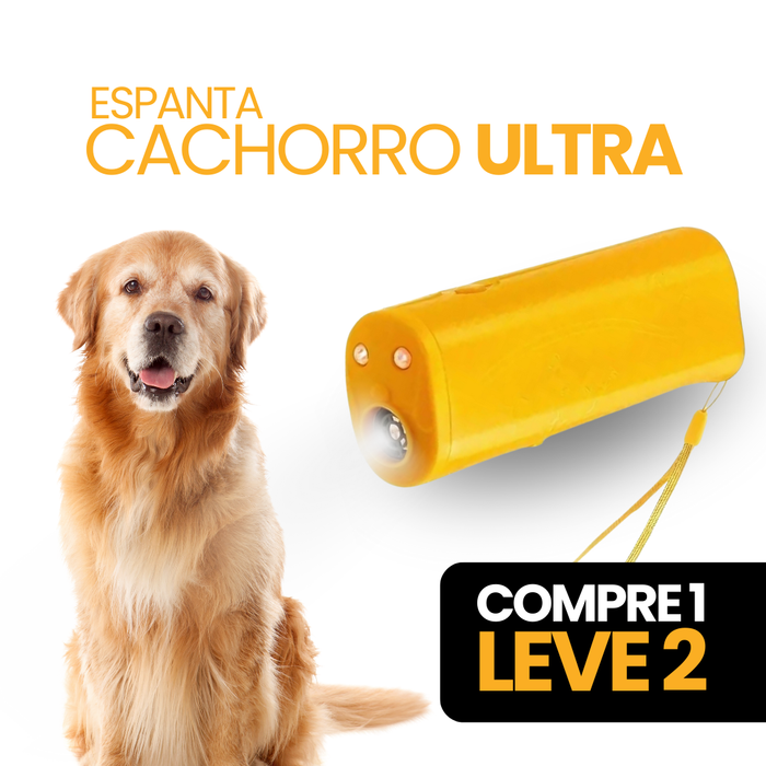 O cachorro veio — aponte e acione
