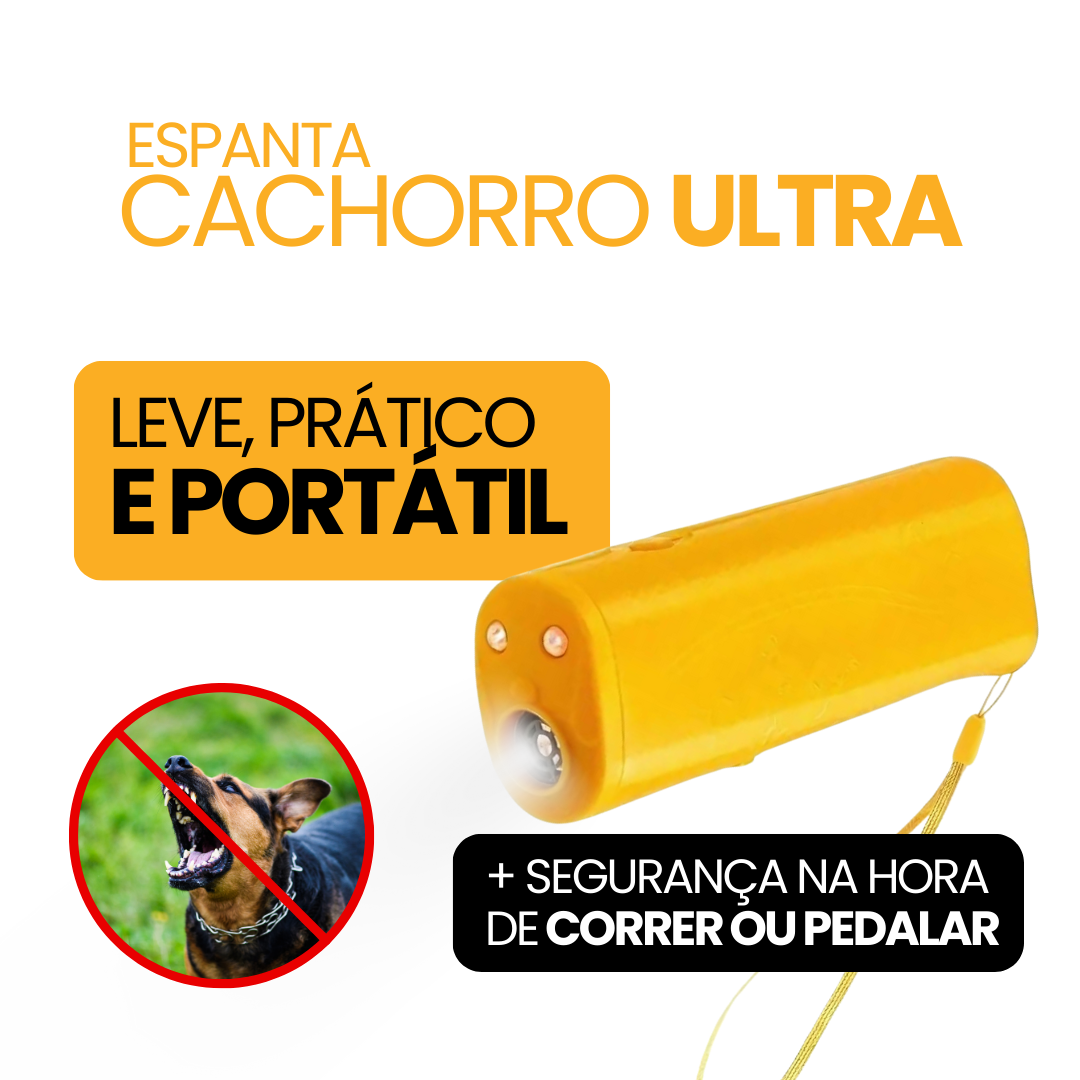 O cachorro saiu do portão. E agora?
